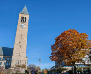 Card Thumbnail - Cornell Suspends Fraternity Parties After Allegations of Sexual Assault, Druggings